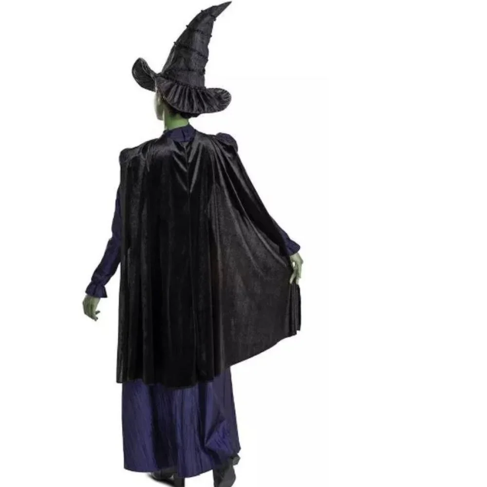 Wicked Witch Elphaba Halloween Costume 4/6 Purple Dress, Cape, Hat 3 Pc Girls